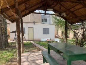 Acogedor departamento interno